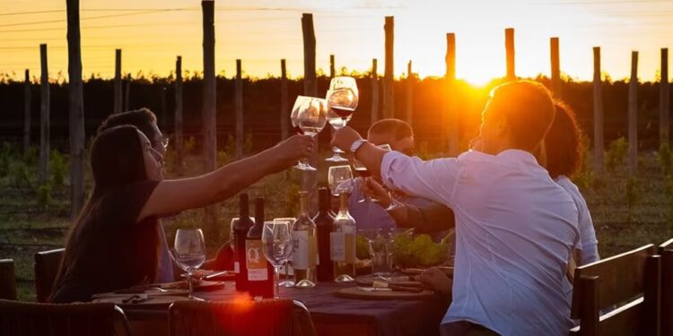 Bodegas abiertas en estas fiestas ¿Cuáles se pueden visitar el 24 y 31 de diciembre?