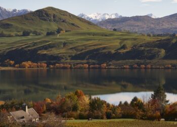 Amisfield: La Rebelión del Vino en la Esquina Más Austral del Mundo