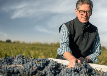 Los enólogos que están reviviendo el Malbec en Francia