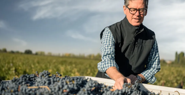 Los enólogos que están reviviendo el Malbec en Francia