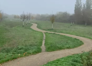 ¿Qué puede aprender el vino de los caminos, de los pingüinos, de las gallinas?