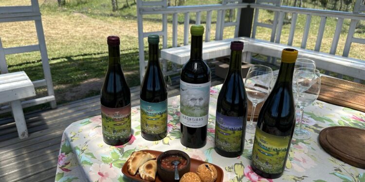 ¿Por qué se han puesto de moda los vinos naturales?