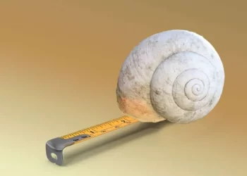 ¿Qué es una unidad de la naturaleza? ¿Y se puede vender en un mercado de crédito para la biodiversidad?