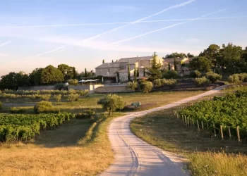 Un sueño: viajar por el mundo y aprender sobre vinos