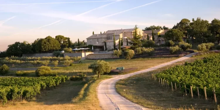 Un sueño: viajar por el mundo y aprender sobre vinos