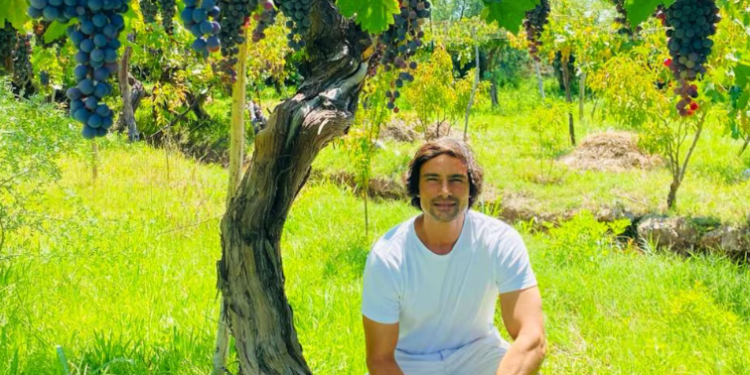 La uva criolla entra a jugar en las grandes ligas de los vinos de calidad