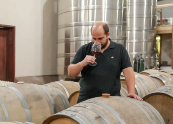 Ezequiel Ortego, enólogo: «La vitivinicultura es una maratón, no una carrera de 100 metros»
