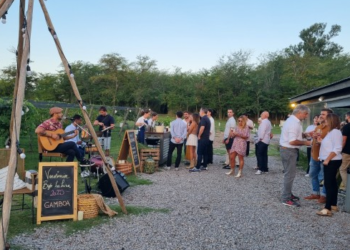 Bajo la luna y entre viñedos: una noche de vendimia en Bodega Gamboa