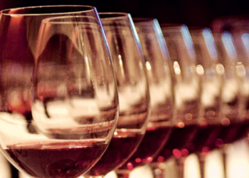 ¿Cómo funcionan las hermandades y para qué sirven?