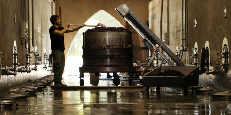 Calculadora GEI: Innovación Climática para las Bodegas Latinoamericanas