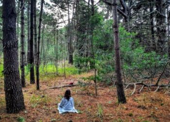 Baños de bosque: qué son, por qué mejoran la salud y dónde se hacen en Argentina