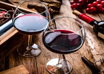 Fiesta de la Vendimia en Buenos Aires: fecha y lugar del evento de vinos bonaerenses