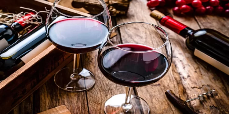 Fiesta de la Vendimia en Buenos Aires: fecha y lugar del evento de vinos bonaerenses
