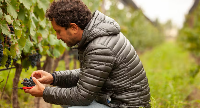 Premiado por Decanter: el enólogo argentino que logró “domar” uno de los viñedos más extremos del mundo