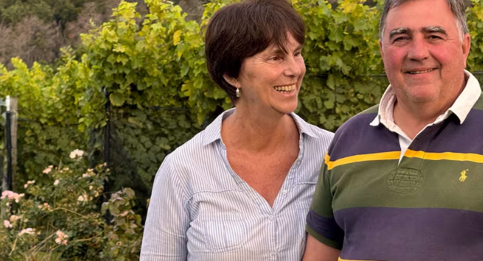 Producen 7000 botellas: un matrimonio de destacados profesionales hicieron un fuerte cambio de vida y montaron una bodega multipremiada