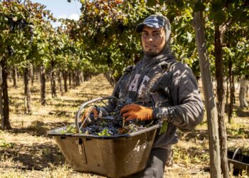 Valle de La Puerta Presenta la nueva línea de “vins orgánicos”