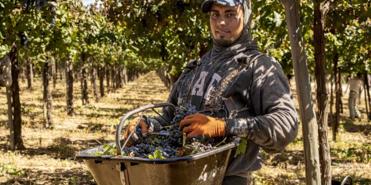 Valle de La Puerta Presenta la nueva línea de “vins orgánicos”