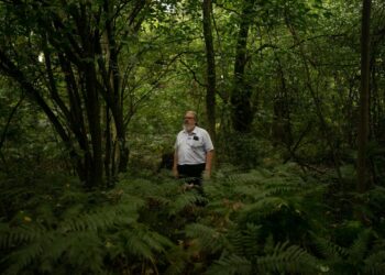 Este biólogo argentino tiene un plan para que la producción agroforestal proteja a la naturaleza