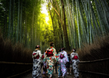 Qué es shinrin yoku, la práctica japonesa de los baños de bosque