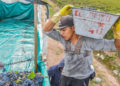 Los trabajadores vitivinícolas tendrán un 12% de aumento salarial