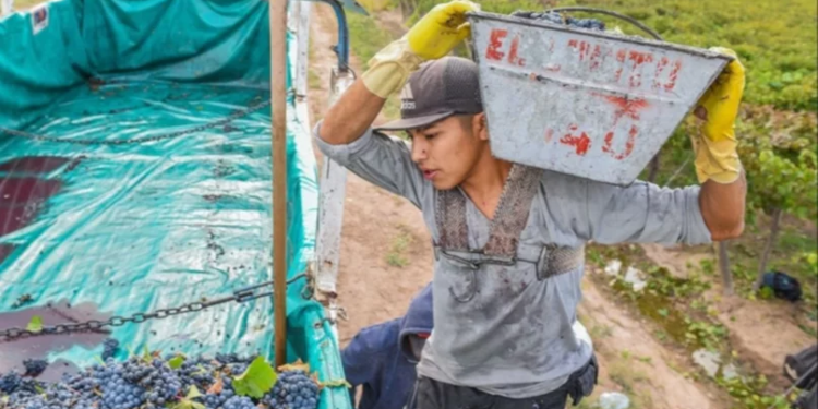 Los trabajadores vitivinícolas tendrán un 12% de aumento salarial