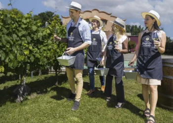 Enoturismo: con hasta 45% de caída, las bodegas ajustan estrategias y tarifas en dólares