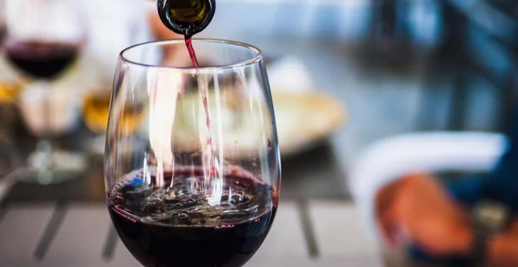 El vino argentino sufre una caída del 3,9% en sus exportaciones durante el primer bimestre de 2025