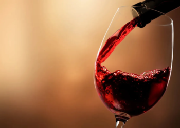 Los 9 vinos mendocinos que conquistan el paladar de los mejores sommeliers del mundo