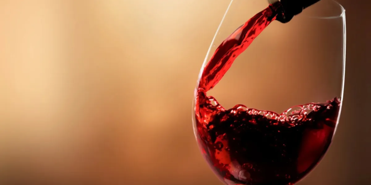 Los 9 vinos mendocinos que conquistan el paladar de los mejores sommeliers del mundo