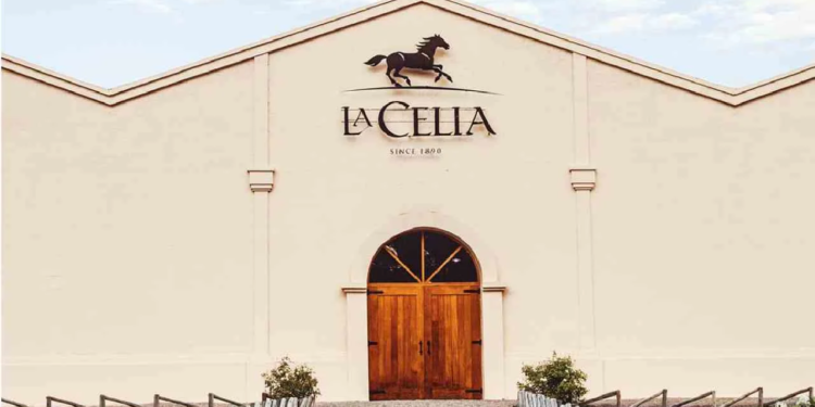 Terroir, historia e innovación: así son los vinos icónicos de la bodega pionera del Valle de Uco