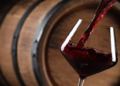 Quién domina la escena del vino en América Latina, según la inteligencia artificial