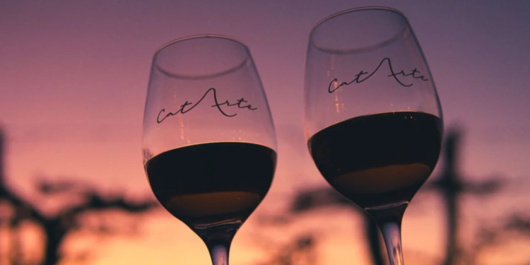 CatArte: El festival que marida vinos, arte y cultura en Cafayate
