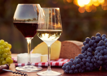 Vino tinto vs. vino blanco: un estudio revela cuál es más saludable