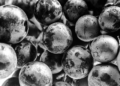 ¿Pueden las variedades de viñas viejas salvar al vino del cambio climático?