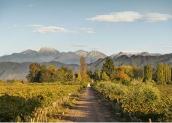 Tres vinos bien diferentes para brindar por el Día Mundial del Malbec