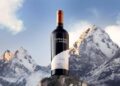 Terrazas de los Andes Reserva Malbec 2022, el único vino argentino en el Top 10 de Wine Spectator