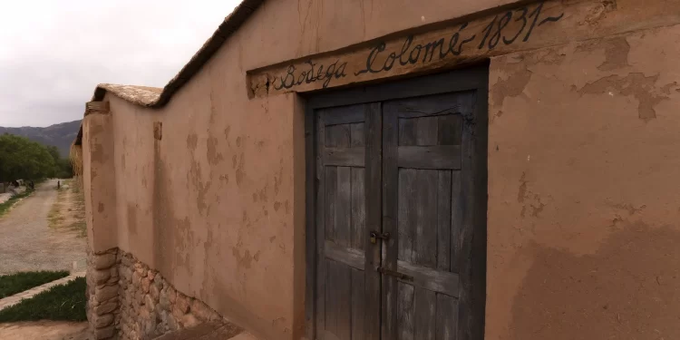 La primera bodega argentina: Colomé