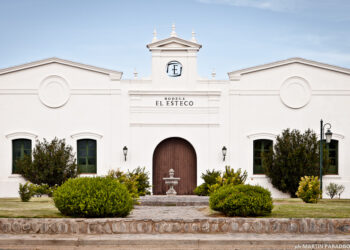 Bodega El Esteco presenta la experiencia Vendimia 2025 en los Valles Calchaquíes
