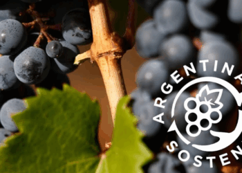 Bodega Gamboa: la primera de Buenos Aires en obtener el Sello de Vitivinicultura Argentina Sostenible
