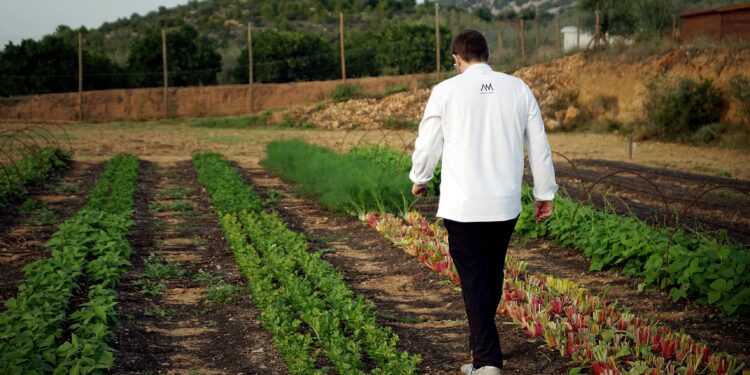 Restaurantes que llevan al huerto