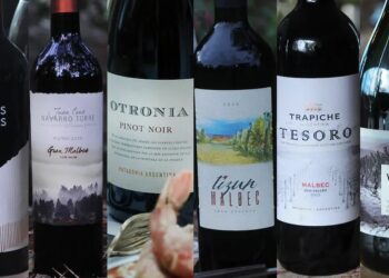 Premios para vinos y bodegas argentinas en el mundo