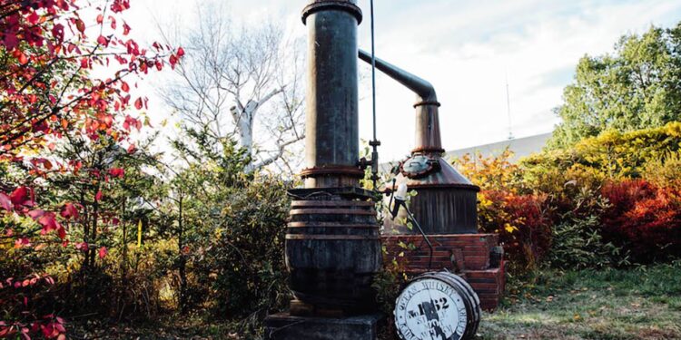 Todo lo que necesitas saber sobre Karuizawa