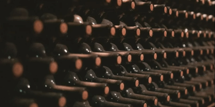 La Federación de Viñateros de San Juan apoyó la eliminación de la Coviar