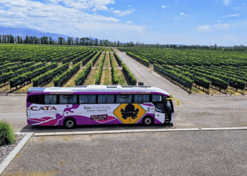 Nuevo recorrido enoturístico para descubrir los Caminos del Vino de Mendoza