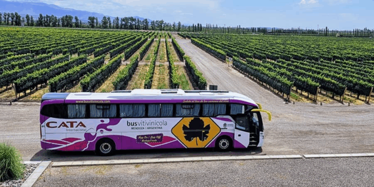Nuevo recorrido enoturístico para descubrir los Caminos del Vino de Mendoza