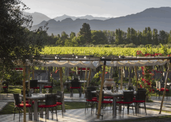 Malbec Terroir y menú a la carta: dos experiencias de Bodega Kaiken para descubrir este finde largo