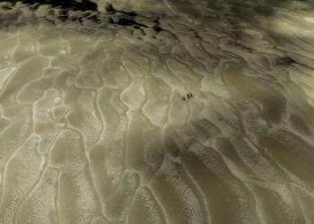 El fotógrafo que retrató el Amazonas convertido en desierto: “Parecía la transformación radical del planeta”