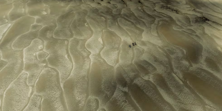 El fotógrafo que retrató el Amazonas convertido en desierto: “Parecía la transformación radical del planeta”