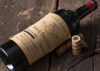 Vega Sicilia es sin duda la bodega más famosa de España; un auténtico icono del buen vino con una historia que se remonta a 1864