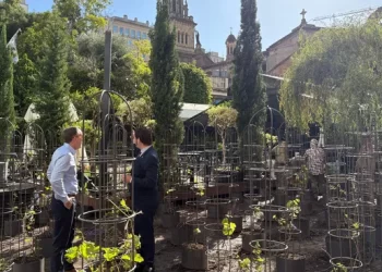 Entrevista a los creadores del primer viñedo urbano de Latinoamérica. “Las botellas serán subastadas con fines solidarios”